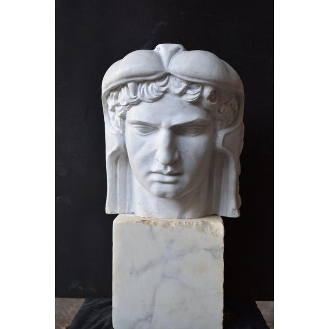 Hand-Carved Mithridates Bust Sculpture, 20th Century, Marble For Sale - Image 6 of 6