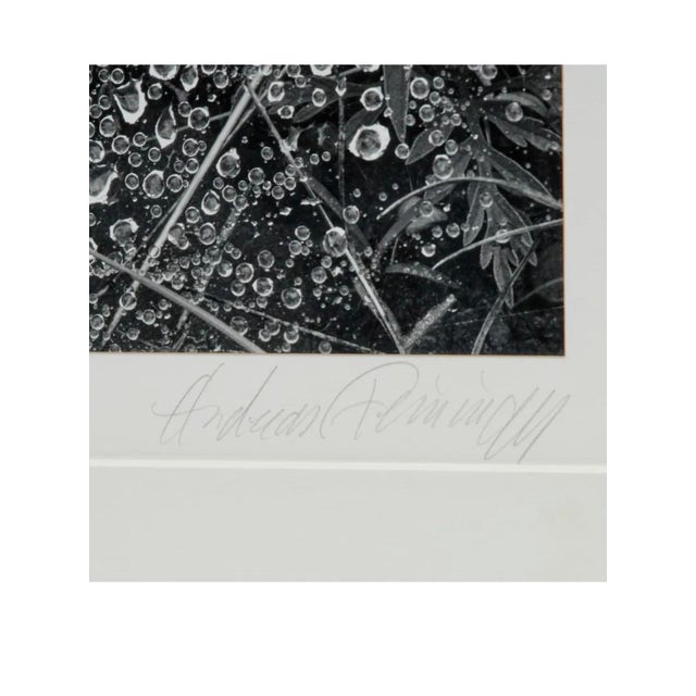 Printmaking Materials Andreas Feininger, American Photographer Andreas Feininger Silver Gelatin Vintage Print For Sale - Image 7 of 11