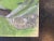 Through the Trees, Gouache on Canvas, in Flawless conditions. Designed 1920 to 1949 This piece has an attribution mark, I...