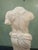 Classical Marble Male Torso Fragment on Custom Stone Base For Sale - Image 9 of 12