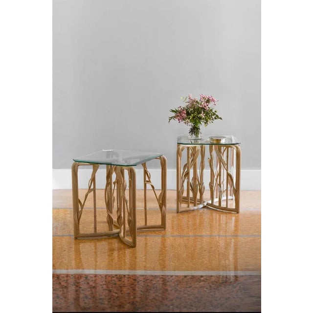 Coffee Tables in Wood and Glass by Vivai del Sud, 1970s, Set of 2 For Sale - Image 3 of 9