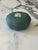 Vintage Wedgwood Jasperware Teal Green Scallop Shell Petite Trinket Dish & Lidded Box For Sale - Image 9 of 14