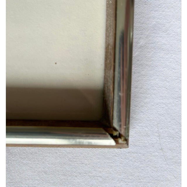 Late 20th Century Late 20th Century Limited Edition Embossed Geranium Print by Fernando Torm For Sale - Image 5 of 7