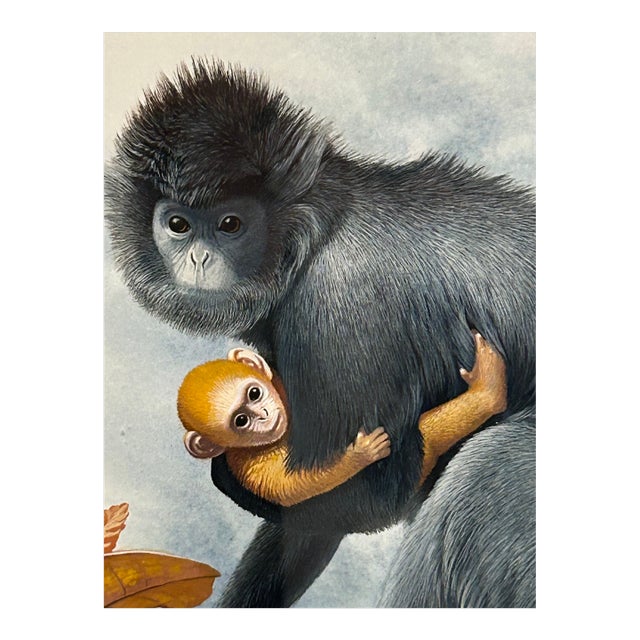 Meticulously Detailed Watercolors of Monkeys -Set of 3 For Sale