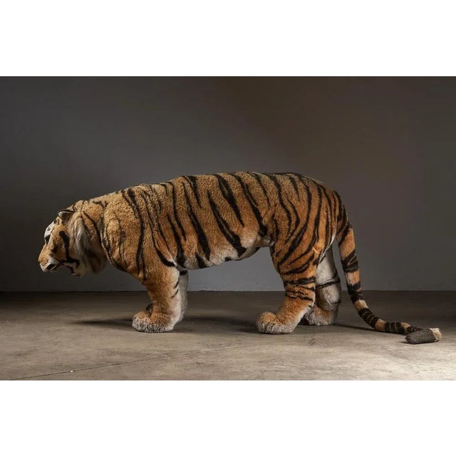 1960s Children's Tiger Teddy, 1960s For Sale - Image 5 of 7