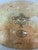 John Derian Company Nautilus Decoupage Glass Tray, Signed For Sale In San Francisco - Image 6 of 12