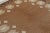 Textile Vintage Swedish Rollakan Rug in Camel and Ivory Folk Motifs - Rug & Kilim For Sale - Image 7 of 10