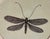 Natural Curiosities Dragonfly Prints Framed For Sale - Image 4 of 8