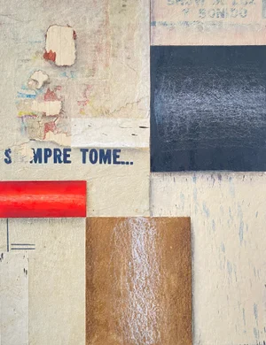 Fusion Series #1908 Collage on Watercolor Paper by Cecil Touchin