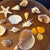 White Curated Coastal Marine Specimen & Sea Shell Collection For Sale - Image 8 of 12