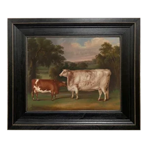 Prize Cattle in Landscape Framed Oil Painting Print on Canvas in Distressed Black Solid Wood Frame- an 8" X 10" Framed to 11-1/2" X 13-1/2"