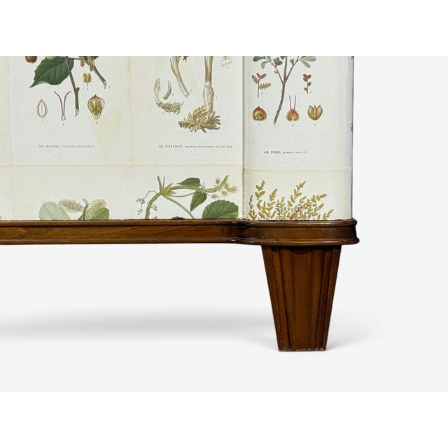 Swedish Modern, Monumental Nordens Flora Cabinet, Mahogany, Sweden, 1940s For Sale - Image 11 of 18