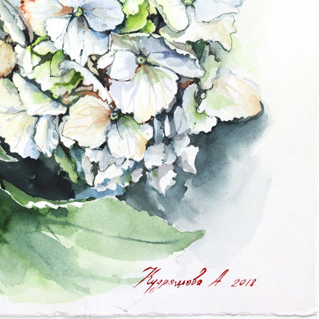 Green and White Hydrangeas - Floral Watercolor Painting Original Artwork by Anna Kudriashova For Sale In Los Angeles - Image 6 of 7