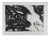 Bengt Lindstrom,: Totemic Animal, Engraving For Sale