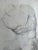 Grand Tour' Old Master Drawing of a Seated Male Nude Antique Statue Torso For Sale - Image 4 of 7