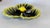 Yellow and Black Ceramic Catchall with 3 Compartments from Vallauris, 1970s For Sale - Image 14 of 17