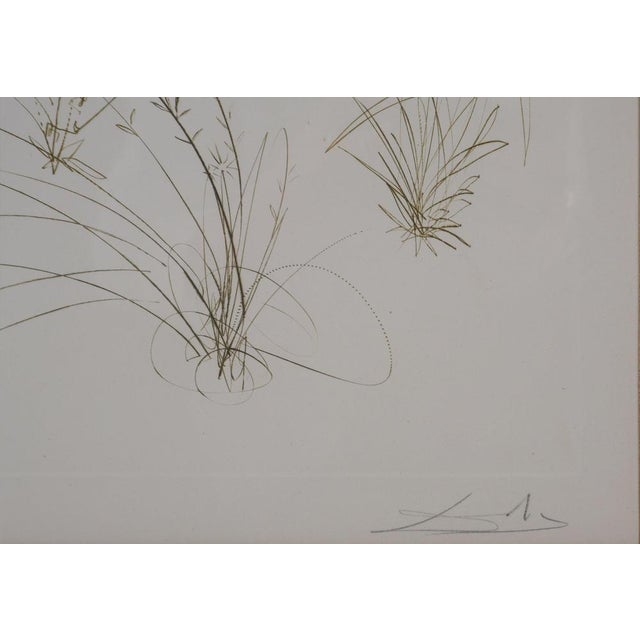 Modern Salvador Dali, Tristan and Isolde, Vanity, Original Signed Etching For Sale - Image 3 of 8