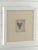 Nautical Framed Megladon Tooth For Sale - Image 3 of 4