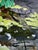 Linda Clerget, Autumn Impressions in Sully-Sur-Loire, Acrylic For Sale - Image 6 of 8