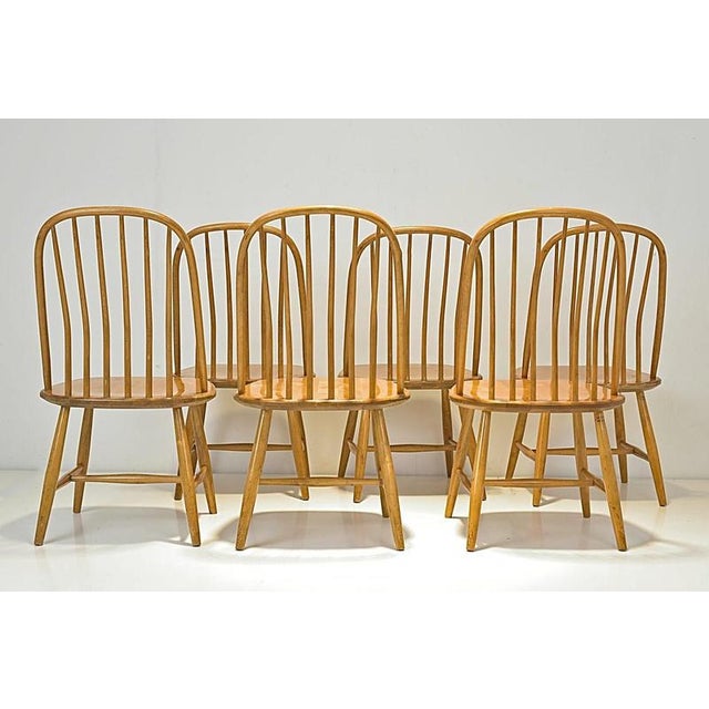 Akerblom Chairs by Bengt Åkerblom for Nässjö Chair Factory, Sweden, 1954, Set of 6 For Sale - Image 4 of 13