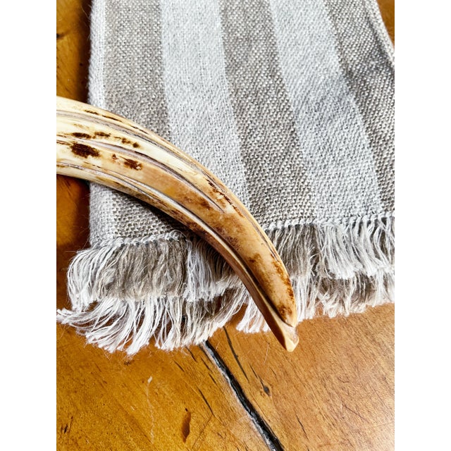 Antique Corkscrew With Boar Tusk and Sterling Silver Handle For Sale In New York - Image 6 of 7