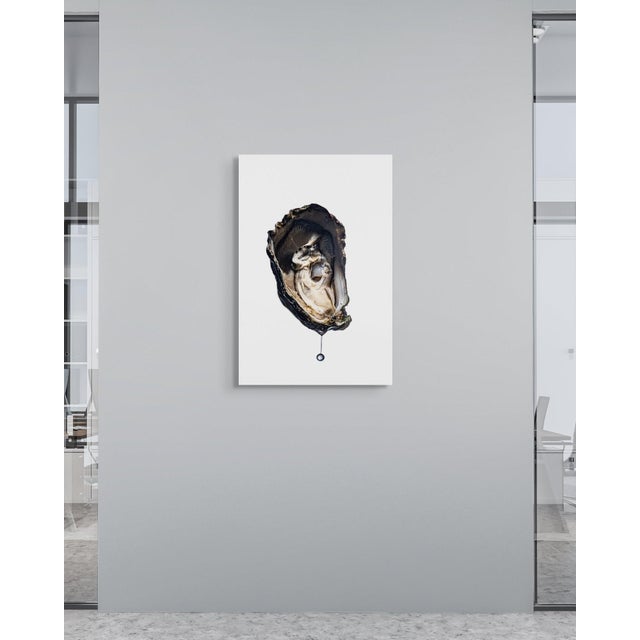 Not Yet Made - Made To Order Oyster — Sivan Roshianu, Limited Edition Metal Print (Edition of 5) For Sale - Image 5 of 5