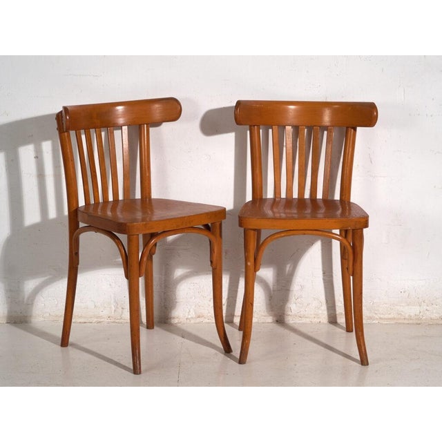 Wood Chairs in Ligna Bentwood, Former Czechoslovakia, 1960, Set of 4 For Sale - Image 7 of 12