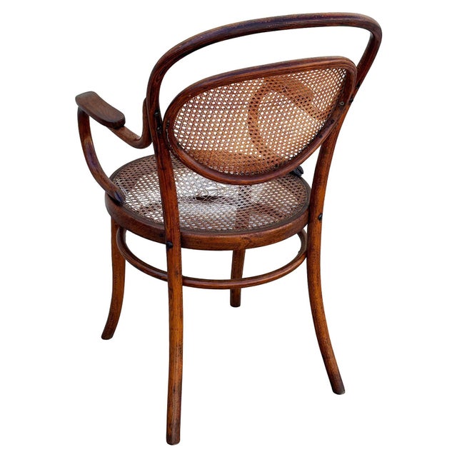 1900 - 1909 Late Victorian Bent Oak & Cane Nr. 8256 Armchair Attributed to DLG Thonet For Sale - Image 5 of 8