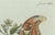 Bertuch, An Atlas Moth, 1800, Engraving For Sale - Image 3 of 9