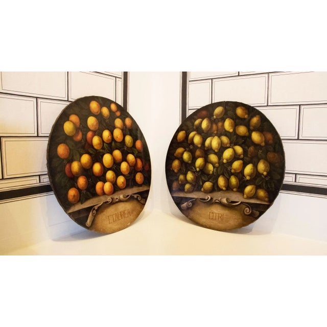 Paint 19th Century Still Life Paintings With Lemons and Oranges - A Pair For Sale - Image 7 of 7