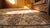Beige 1920s Tan Beige Geometric Antique Chinese Khotan Rug 4'8"x 8'2" Handknotted Wool Carpet For Sale - Image 8 of 9