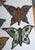 Mid-Century Modern Mid 20th Century Handmade Butterfly Appliques - Set of 7 For Sale - Image 3 of 8
