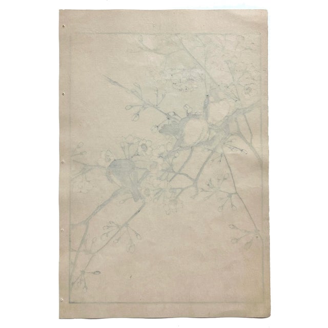 Imao Keinen, 今尾 景年, ( 1845 – 1924) was a Japanese painter and print artist who worked in the late 19th and early 20th...