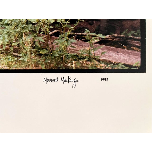 Realism Maxwell Mackenzie Farm Summer Landscape, Large Panoramic Vintage Color Photograph Signed Photo 1993 For Sale - Image 3 of 6