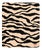 Boreal Blanket in Zebra Pattern by Moanne For Sale