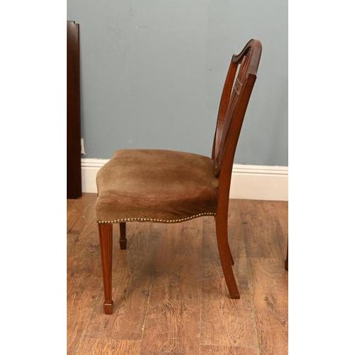 Brown Hepplewhite Dining Chairs in Mahogany, Set of 8 For Sale - Image 8 of 12