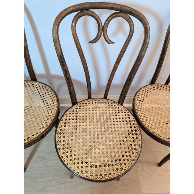 1960s Sweetheart Bentwood & Cane Chairs by ZPM Radomsko for Thonet For Sale - Image 9 of 14