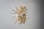 Bolide Wall Lamp by Hermian Sneyders De Vogel for Raak, 1960s For Sale - Image 4 of 13