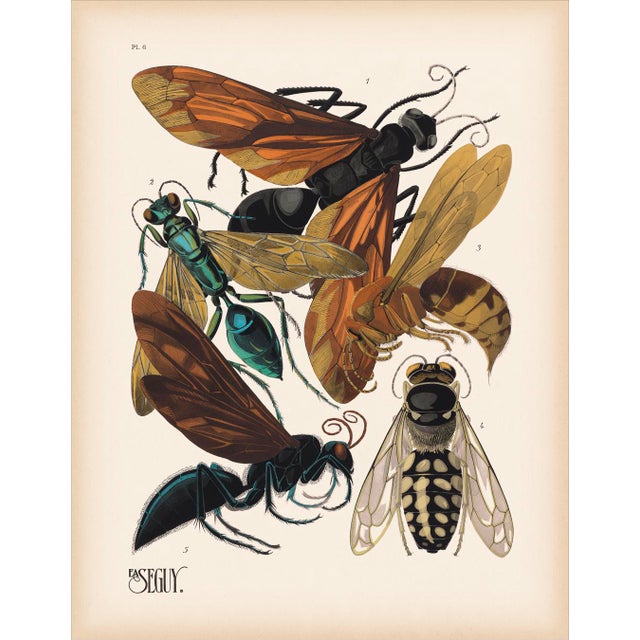 Insects Plate 6 Giclee Reproduction Art Print After Emile Allain Séguy For Sale