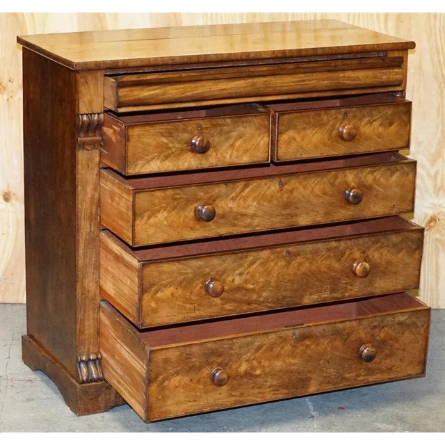 Large 19th Century Light Flamed Hardwood Chest of Drawers with Hidden Drawer For Sale - Image 14 of 17