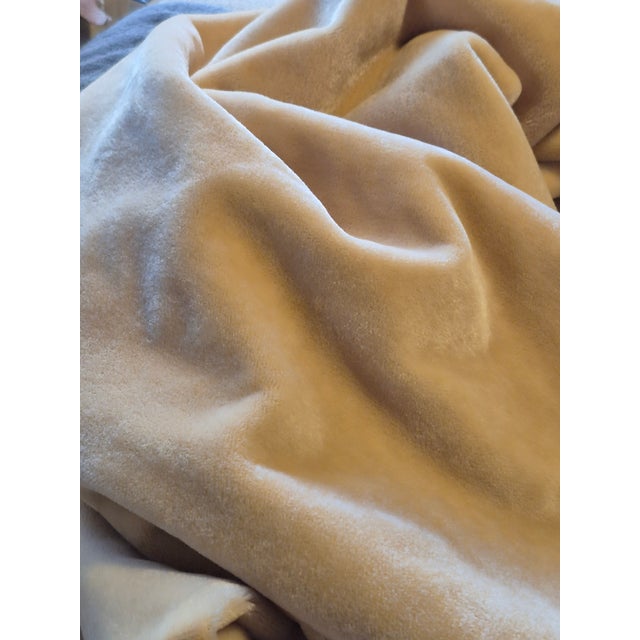 The House of Scalamandre Fawn Beige Imported Belgium Vintage Mohair Velvet 2.8 Yards For Sale - Image 4 of 6