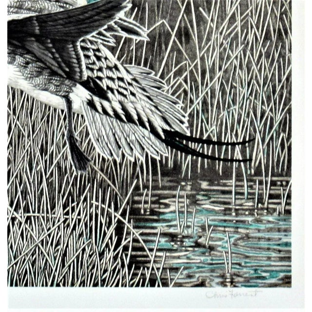 Christopher Forrest, Pintail, Circa 1990 For Sale - Image 4 of 7