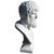 Contemporary Small Lucius Vero Busts in Plaster, Set of 2 For Sale - Image 3 of 6