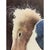 Will Bullas 'You Rang, Madame?' LTD Ed 236/850 Framed Artist Signed Print For Sale - Image 10 of 10