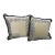 Set of 2 Decorative Pillows For Sale