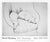 David Hockney Black and White Dogs Official Exhibition Poster Dimensions: 32,8 x 27,4 in / 83.4 x 69.8 cm Sold unframed
