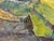 1970s Oil Painting Flowers Dovgalevskaya Vera Veniaminovna For Sale - Image 9 of 12
