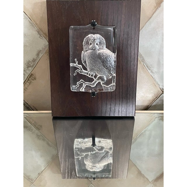 Mats Jonasson Mats Jonasson Swedish Carved Crystal Tawny Owl Wall Plaque Sculpture For Sale - Image 4 of 6