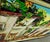 Maya Eventov "Terattoria" Original Acrylic on Canvas, H.Signed Me040908-15 For Sale In Denver - Image 6 of 8