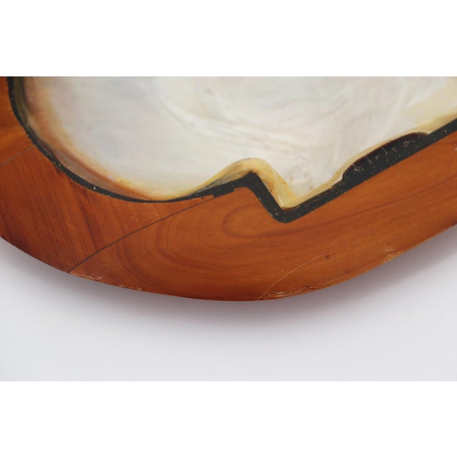 1950s Shell and Teak Root Wood Card Receiver or Trinket Tray in the Style of Alexandre Noll, France, 1950s For Sale - Image 5 of 13
